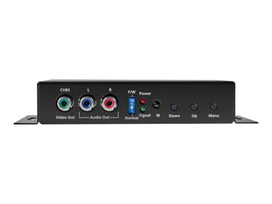 Black Box HDMI To Analog Video Scaler/Converter With Audio 