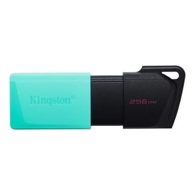 Kingston DataTraveler Exodia M 256GB USB 3.2 Gen 1 