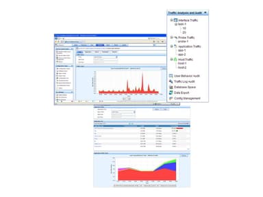 HPE Intelligent Management Center Network Traffic Analyzer 