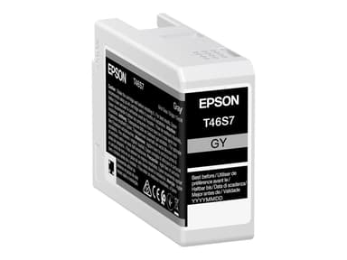 Epson Bläck Grå 25ml - SC P700 