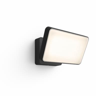Philips Hue Discover Outdoor Floodlight Color 