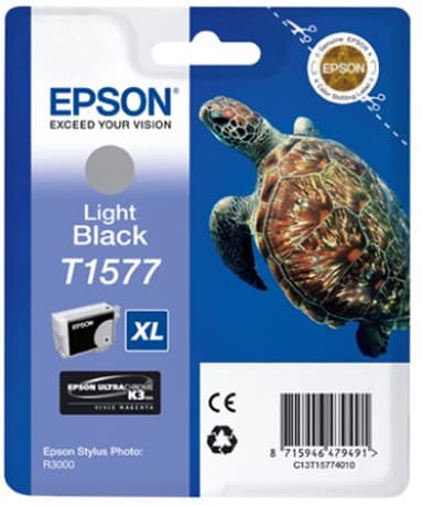 Epson Bläck Ljus Svart - STYLUS Foto R3000 
