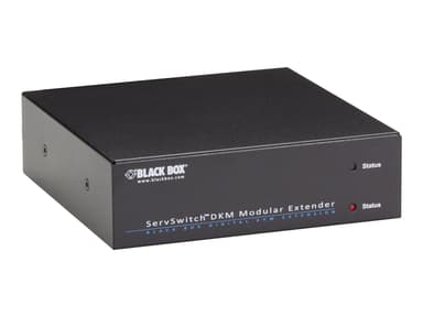 Black Box VGA/DVI/RGB to DVI-D Converter 