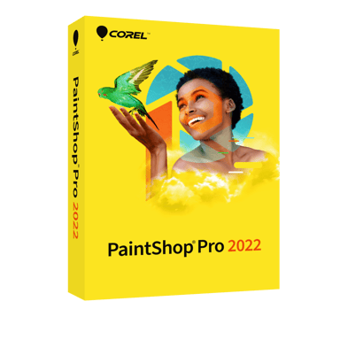 Corel Paintshop Pro 2022 Mini Box 