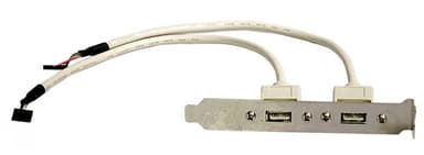 Deltaco USB paneeli 5 pin USB 2.0 header Naaras 4 nastan USB- A Naaras
