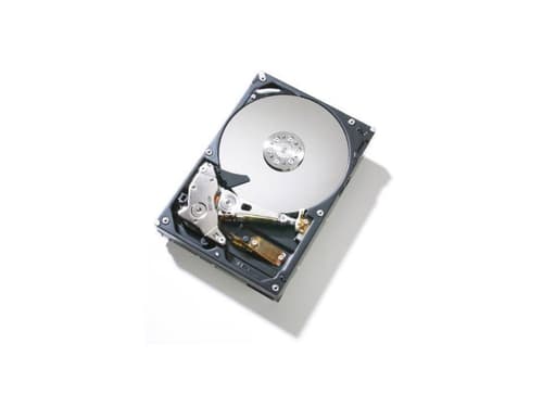 Fujitsu Enterprise 2.5 tommer 10000r/min Sas Hdd