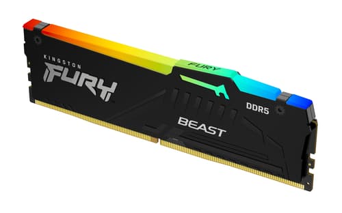 Kingston FURY Beast RGB 5600MHz DDR5 16GB (svart)