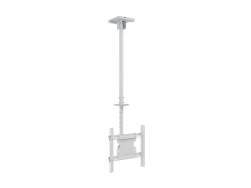 Multibrackets M Public Ceilingmount Medium White Single billede