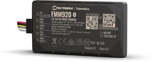 Teltonika Fmm920