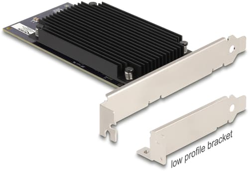 Delock Pci Express X8 Hailo-8 Ai Processor X2 Ai-accelerator billede