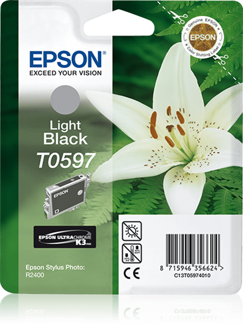 Epson Blæk Ljus Sort - Stylus Foto R2400 billede
