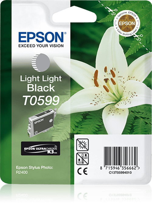 Epson Muste Kevyt Light Musta - Stylus Kuva R2400