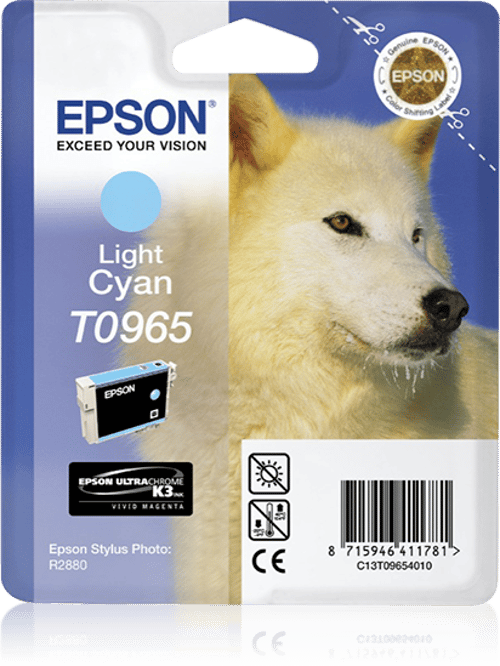 Epson Blæk Ljus Cyan Stylus Foto R2880 billede