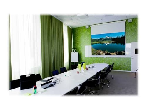 Draper Euroscreen Diplomat Electric Smart Motor 1:1 Format