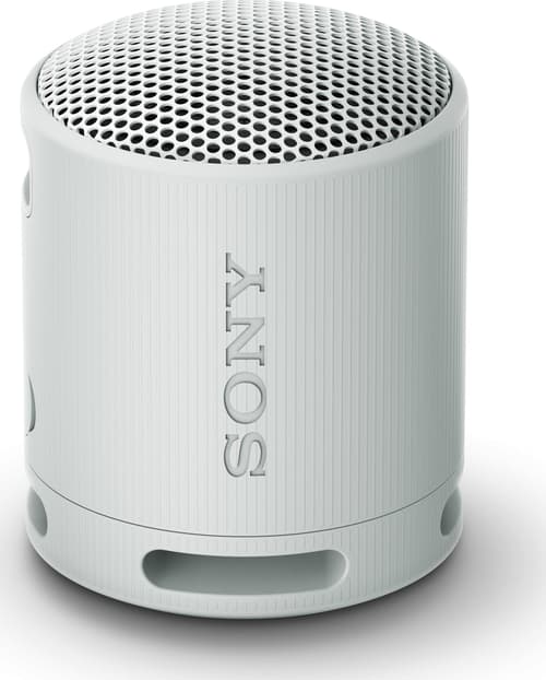 Sony Srs-xb100 Wireless Speaker - Grey Harmaa