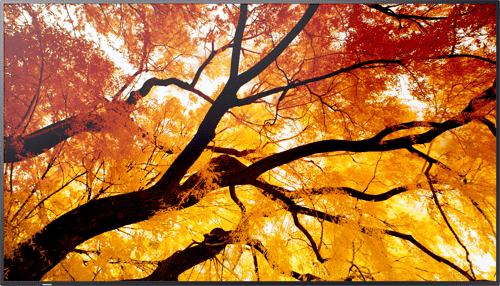 Sharp Multisync M502 50"" Va 550cd/m² 3840 × 2160pixels