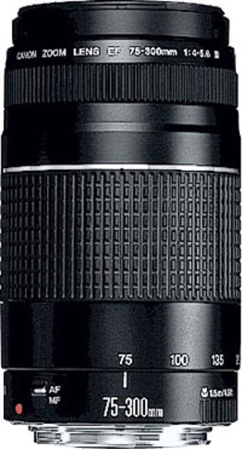 canon-ef-75-300mm-f4-56-iii.jpg
