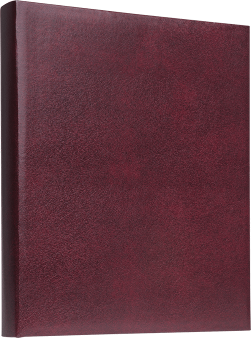 Focus Prestige Ringbinder Red