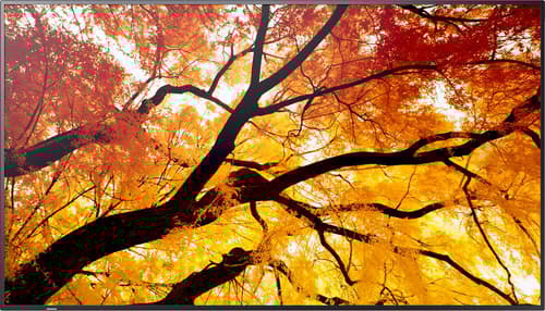 Sharp Multisync M652 55 tommer Ips 550cd/m² 3840 × 2160pixels