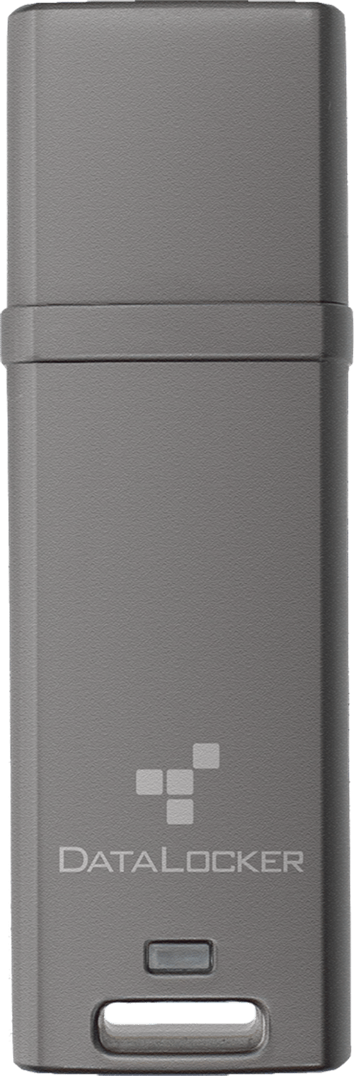 Datalocker Dl Go 4gb Usb-a Grå