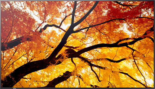 Sharp MultiSync M862 Digital fladpaneldisplay 2,18 m (86") LCD 550 cd/m² 4K Ultra HD Sort 24/7