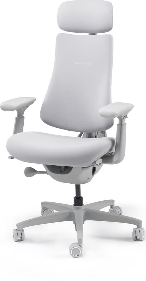 Libernovo Hk Co. Limit Omni Ergonominen Tuoli 48 Cm Space Grey