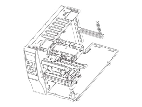 Zebra Båndforsyningsspindel