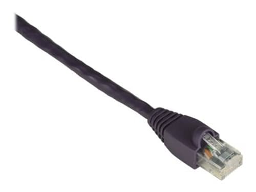 Black Box Blackbox Cat6 Snagless Purple 1.5m 550-mhz Patch Cable Rj-45 Cat 6 1.5m. Lilla