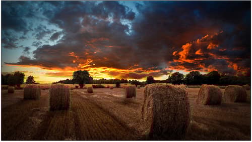 Samsung Vm55b-u 55"" Ips 500cd/m² 1920 × 1080pixels