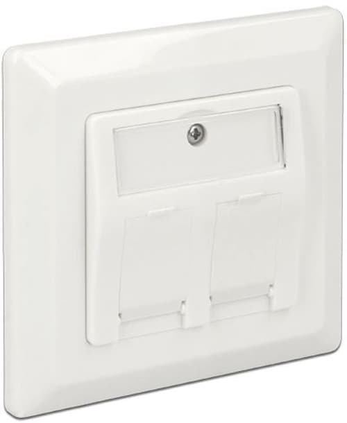 Delock 2 Port Keystone Wall Outlet