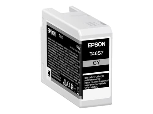Epson Muste Harmaa 25ml - Sc P700