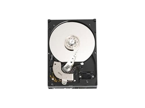 Dell Harddisk 3.5 tommer 7200r/min Sata 6.0 Gbit/s Hdd