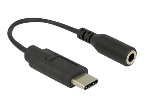 Delock Audio Adapteri