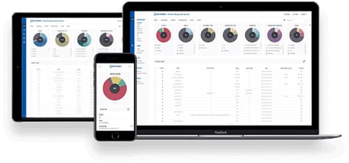 Teltonika Remote Management System (rms) 1 Month 1 Device 100-pack