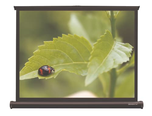 Grandview Table Top Portable Screen Pt-u40