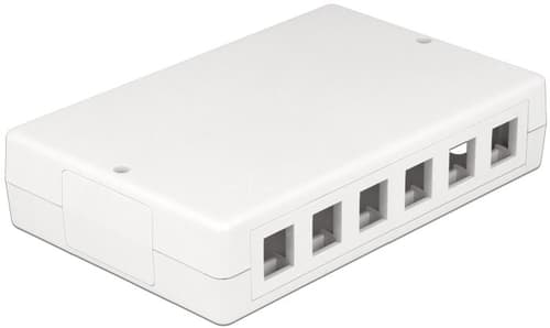 Delock 12 Port Keystone Box