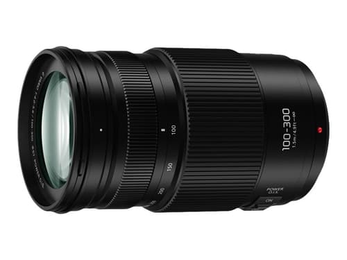 Panasonic Lumix H-fsa100300e billede