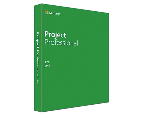 Microsoft Project Professional 2019 Win Dan Medialess