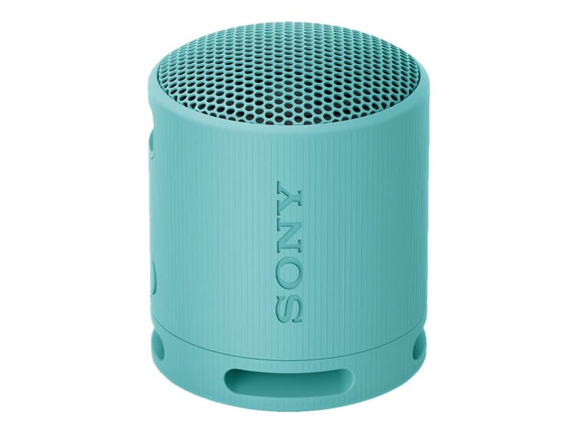Sony SRS-XB100 Wireless Speaker - Blue
