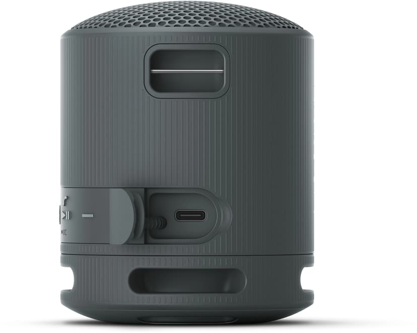 Sony SRS-XB100 Wireless Speaker - Black