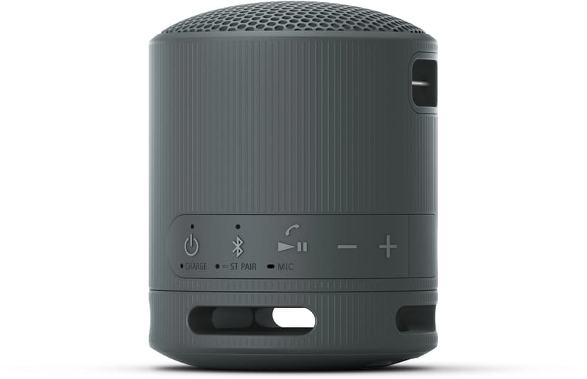 Sony SRS-XB100 Wireless Speaker - Black