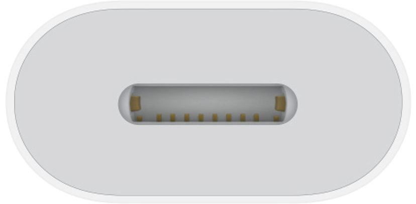 Apple USB C naar Lightning adapter MUQX3ZM A Dustin