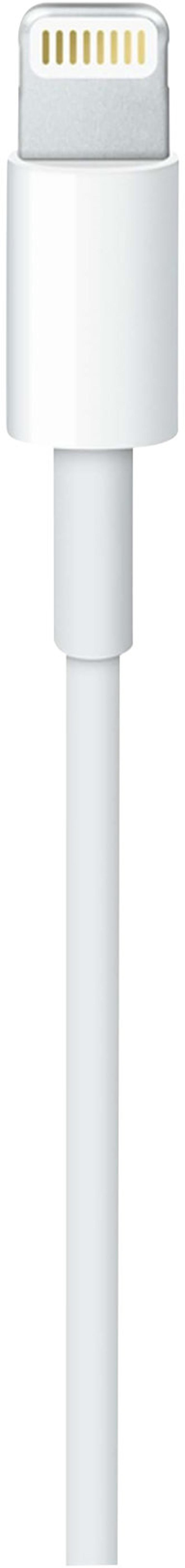Apple usb store c lightning cable