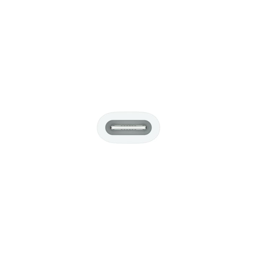 Apple USB-C–Apple Pencil ‑sovitin
