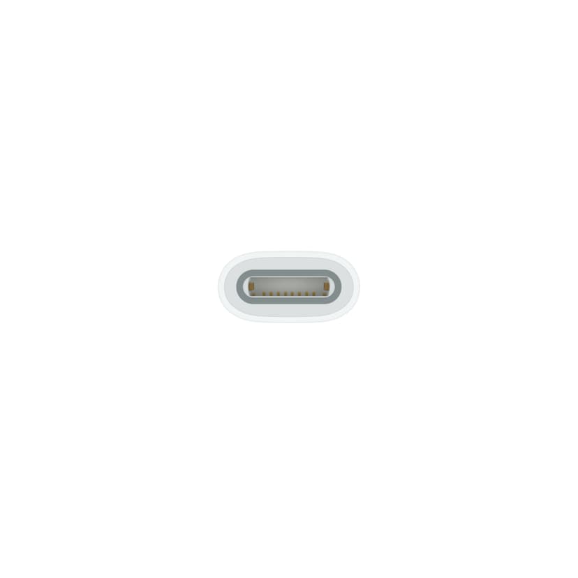 Apple USB-C–Apple Pencil ‑sovitin