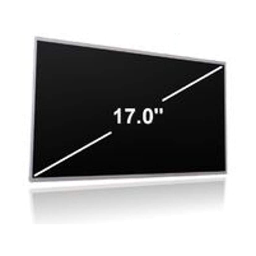 Microscreen 17,0" LCD WXGA+ Matte - Msc31627