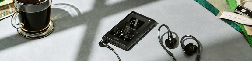 Sony Walkman NW-A306 - Black