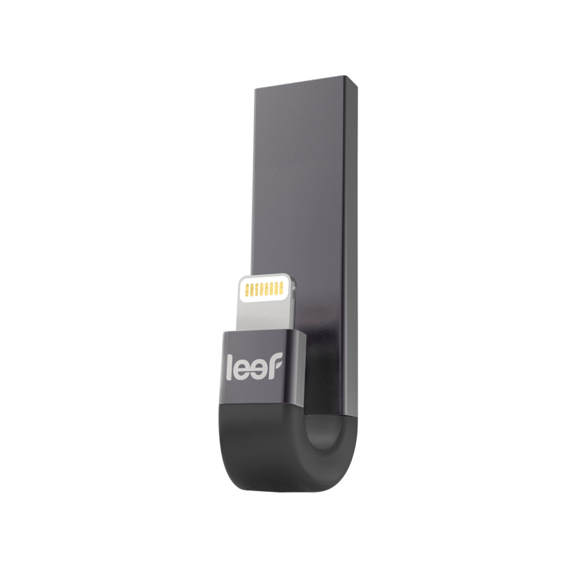 Leef ibridge store 3