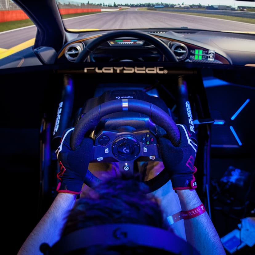 Logitech G920 Driving Force Sort