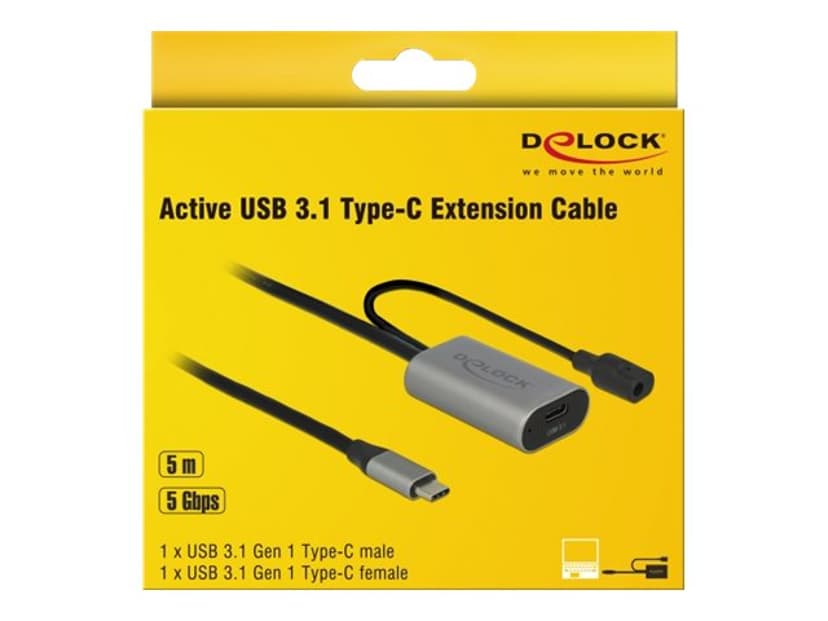 Delock USB extension cable 5m USB C USB C Musta, Harmaa